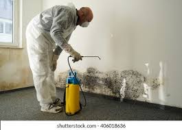 Environmental Consulting for Mold Prevention